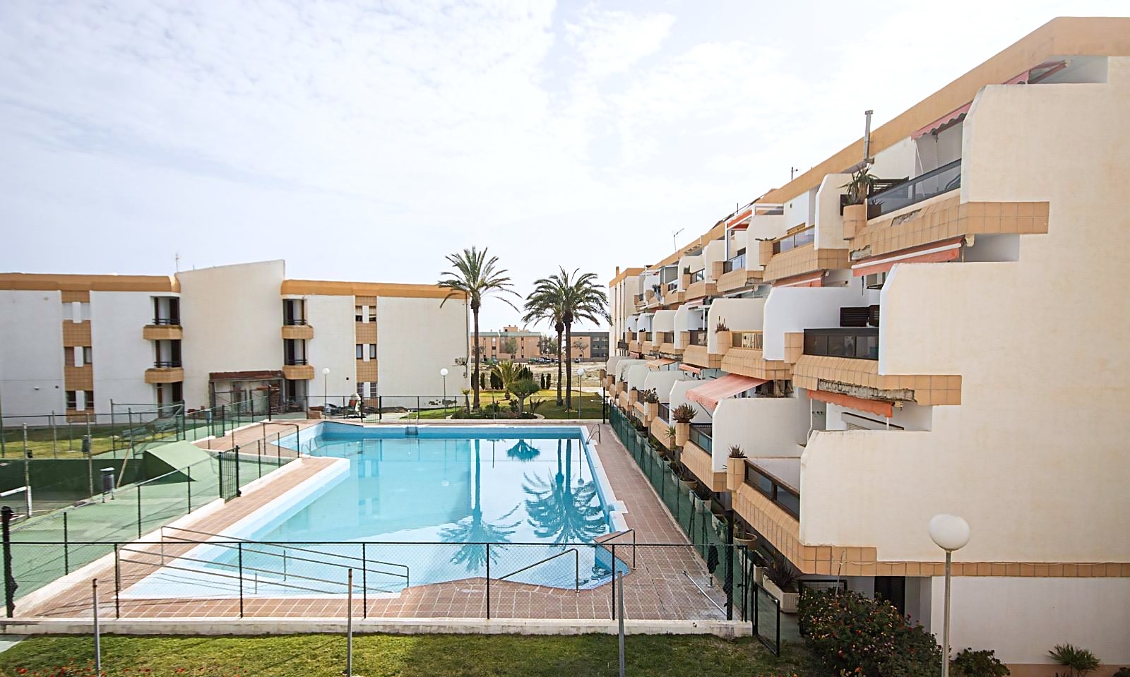 Piscina comunitaria con palmeras y vistas panorámicas